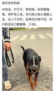 ​杨迪怎么了为什么节目被拿掉了 杨迪更多黑历史被扒