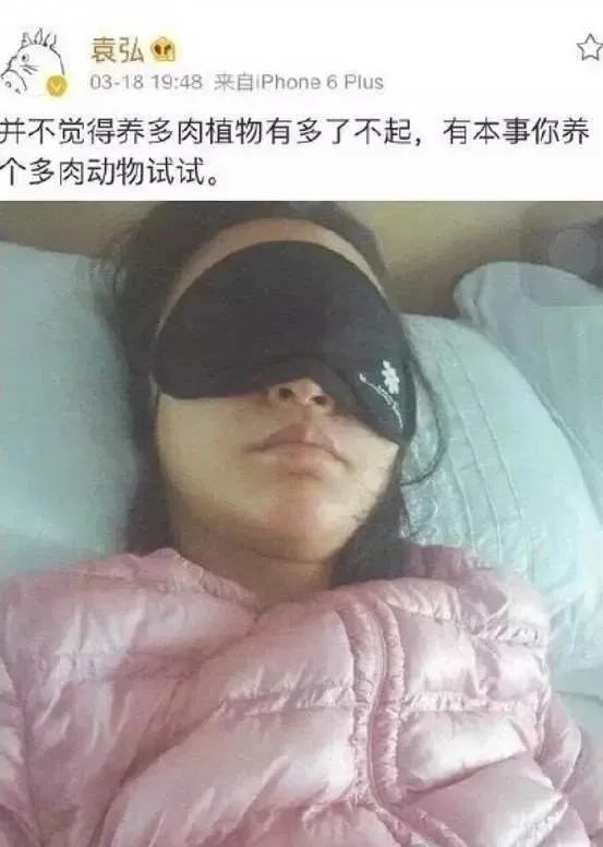 袁弘结过几次婚（袁弘张歆艺首谈离婚）