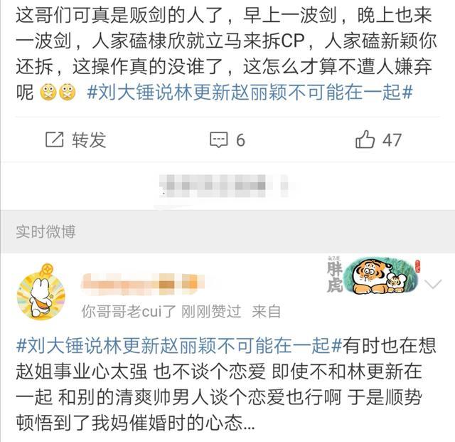 刘大锤说林更新赵丽颖不可能在一起 两人私下只是工作关系