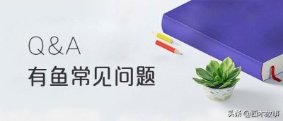 ​什么是小米有品有鱼