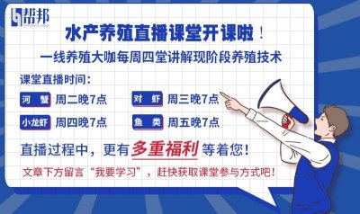 ​室内养殖小龙虾究竟是不是骗局？冬季来临，小龙虾养殖户需谨慎