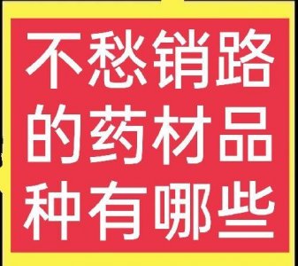 ​农村种植哪些药材比较简单，能赚钱且不愁销路？这五种值得一试