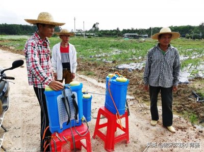 ​吡虫啉、噻虫嗪、噻虫胺、呋虫胺这四种杀虫剂，哪种杀虫效果好？