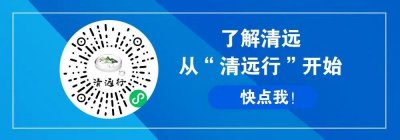 ​这里居然有个“樱花村”？上万棵樱花同时绽放......