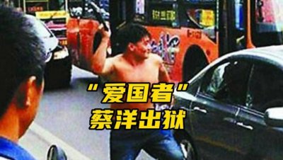 ​河南蔡洋光天化日砸伤他人，被判十年，其中究竟有何故事？