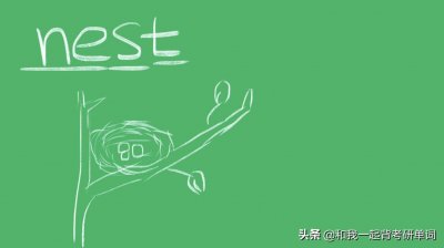 ​nest什么意思