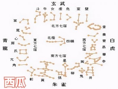 ​二十八星宿你属于哪一个星宿？氐土貉「dī tǔ mò」