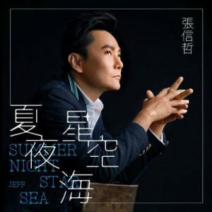 ​电视剧那片星空那片海主题曲 张信哲夏夜星空海歌词试听